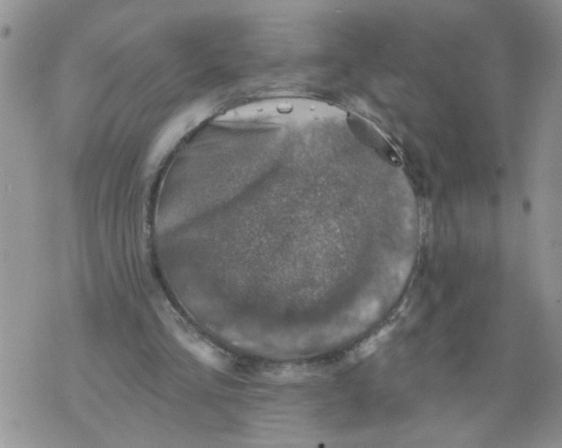 X0000073890293200609082130