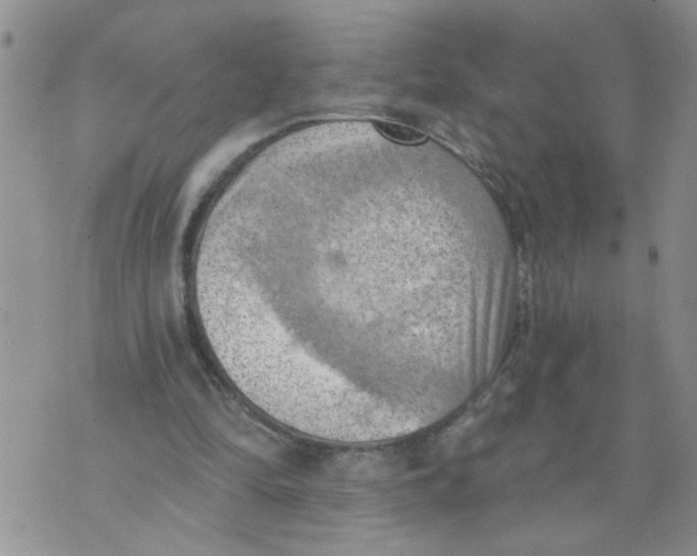 X0000073890294200609082130