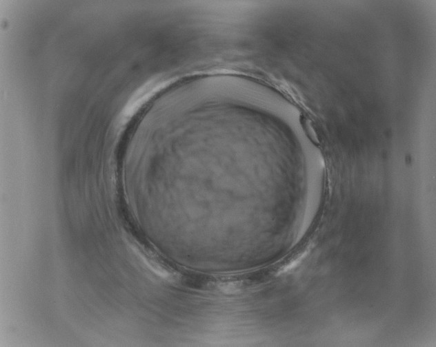 X0000073890295200609082130