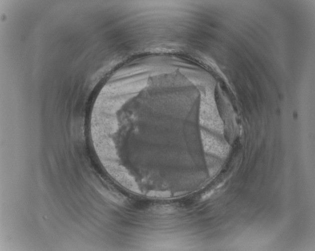 X0000073890299200609082130