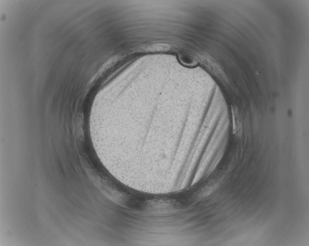 X0000073890300200609082130