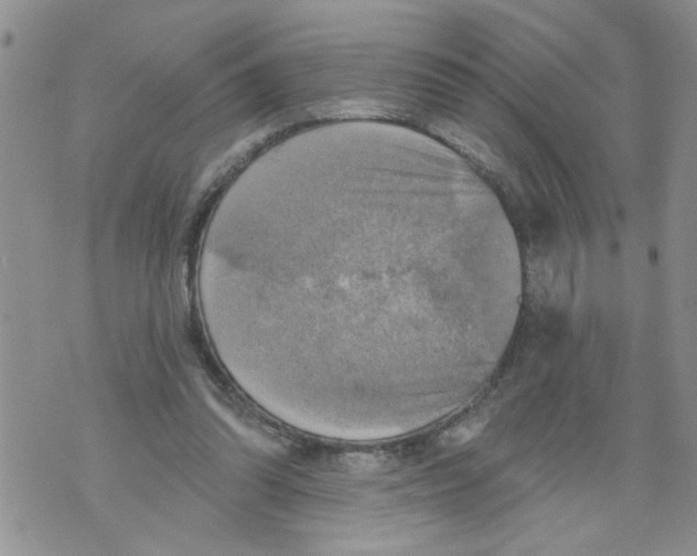 X0000073890302200609082129