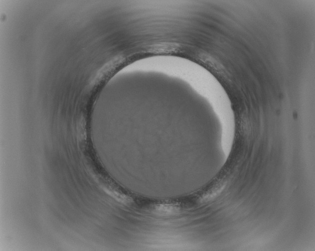 X0000073890303200609082129