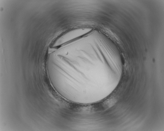 X0000073890306200609082129