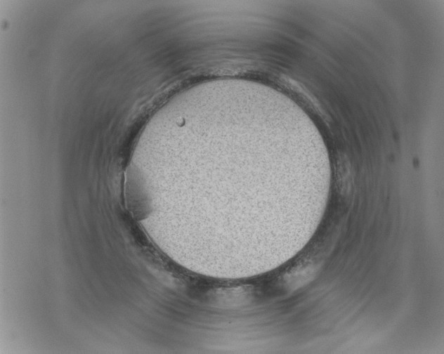 X0000073890307200609082129