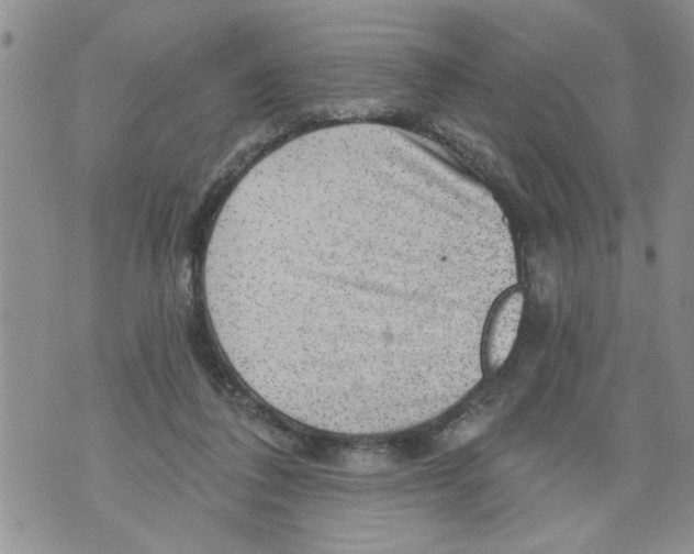 X0000073890308200609082129