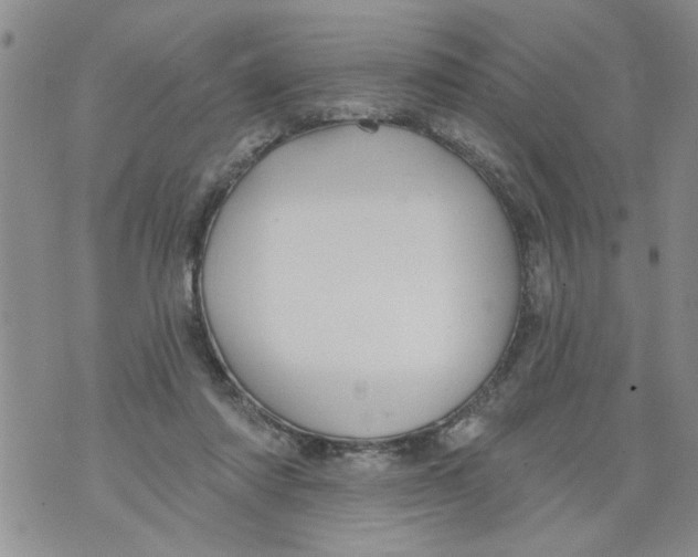 X0000073890310200609082129