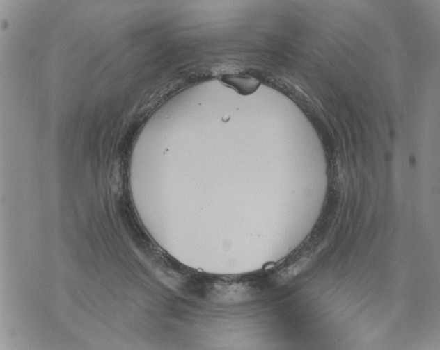 X0000073890311200609082129