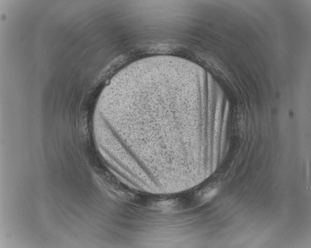 X0000073890312200609082129