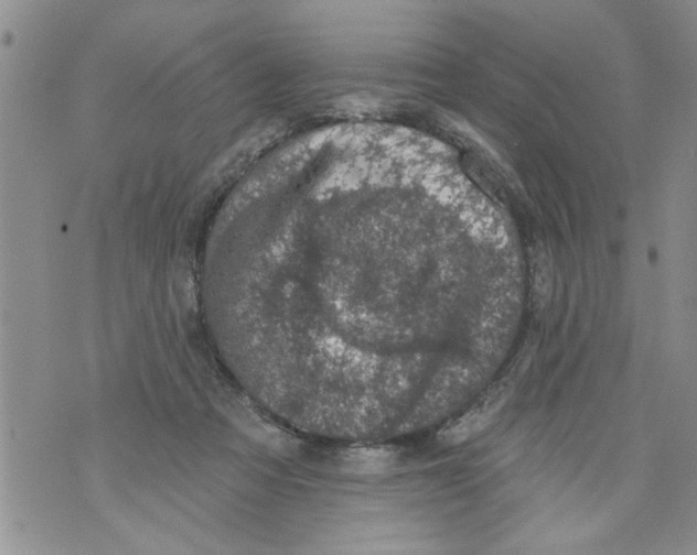 X0000073890313200609082129