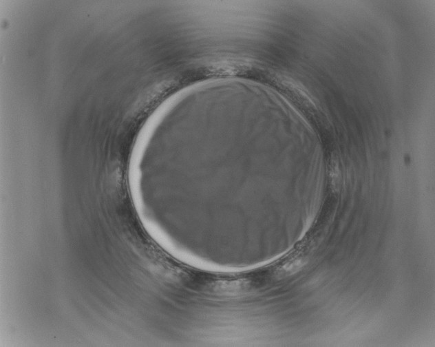 X0000073890314200609082129