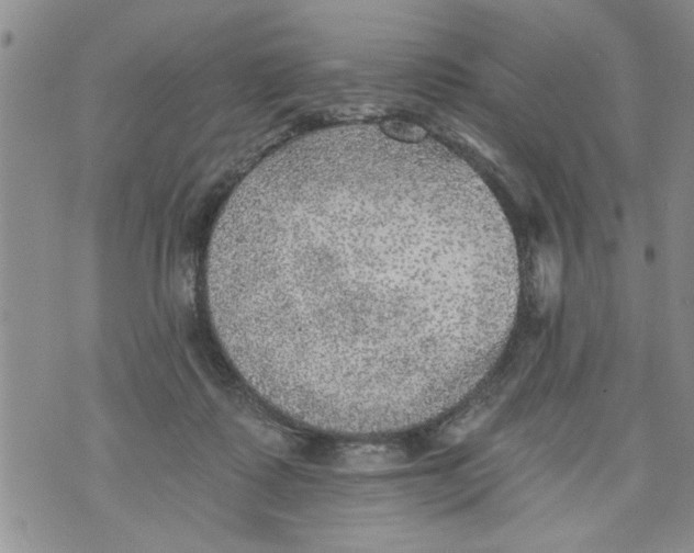 X0000073890315200609082129