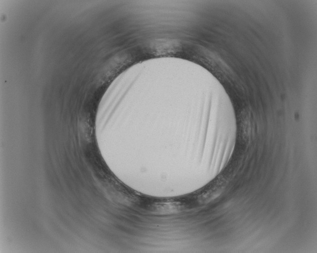 X0000073890316200609082129