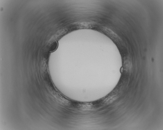 X0000073890318200609082129