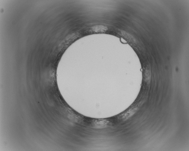 X0000073890321200609082129