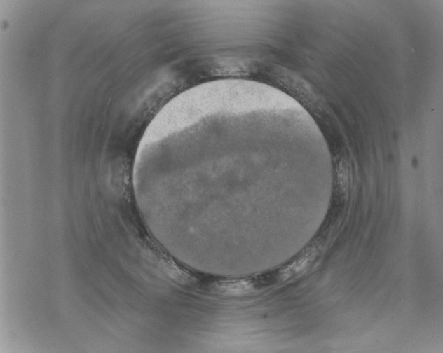 X0000073890322200609082129