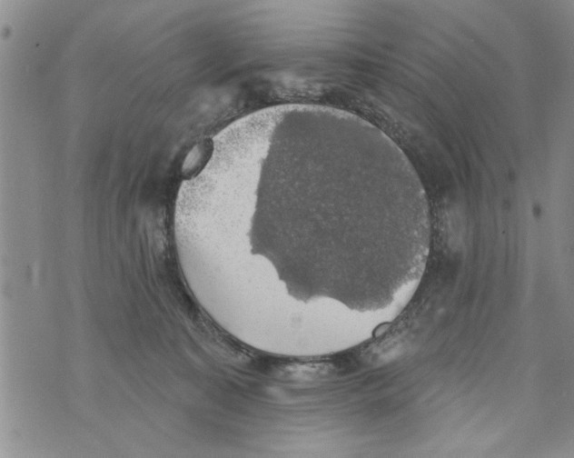 X0000073890323200609082129