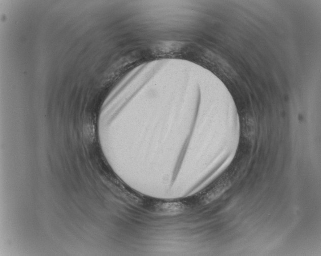 X0000073890324200609082129