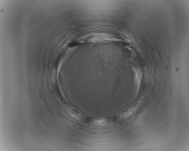 X0000073890325200609082129