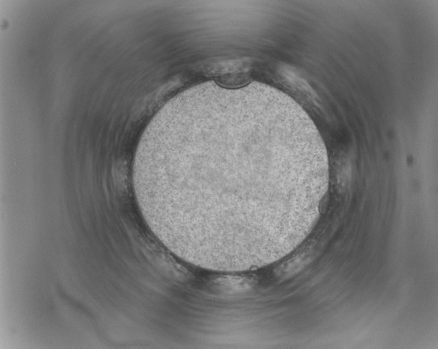 X0000073890326200609082129