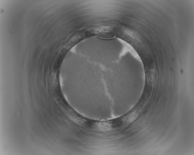 X0000073890327200609082129