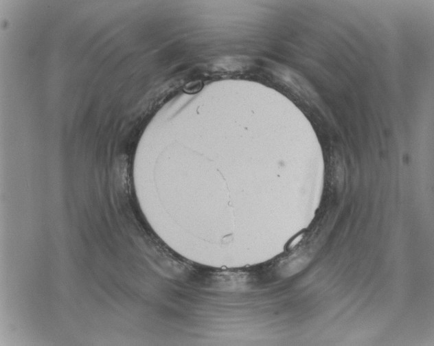 X0000073890328200609082129