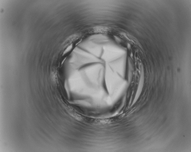 X0000073890329200609082129