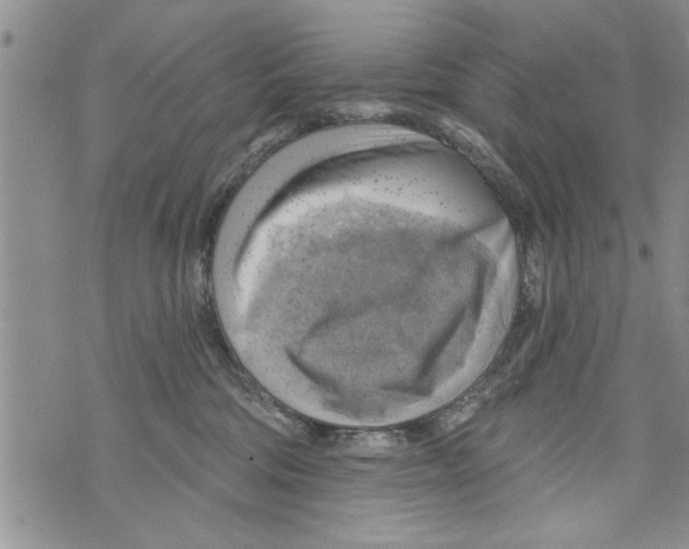 X0000073890330200609082129