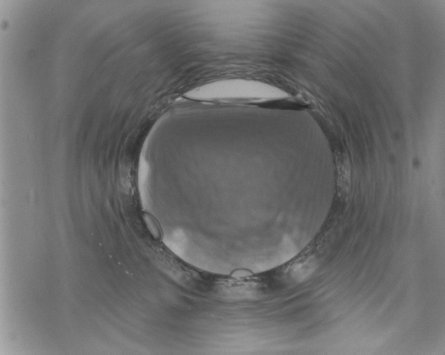 X0000073890331200609082129