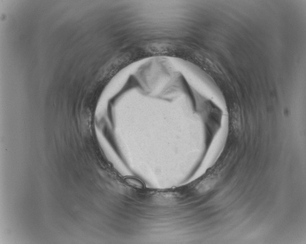 X0000073890332200609082129