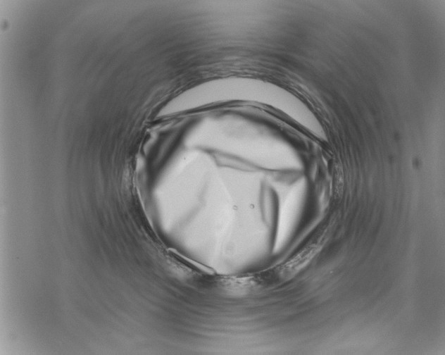 X0000073890333200609082129