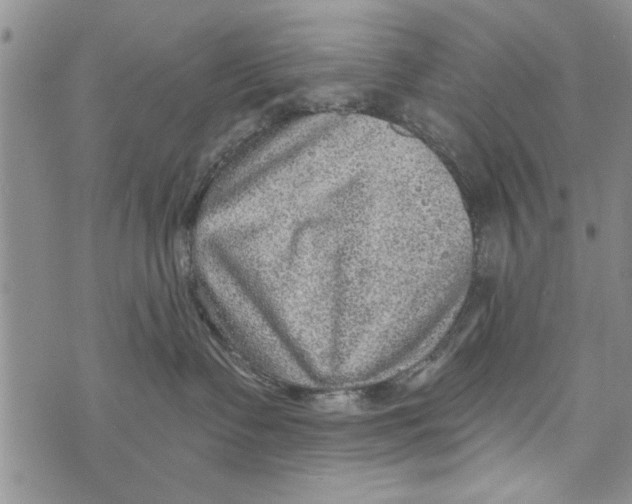 X0000073890335200609082129