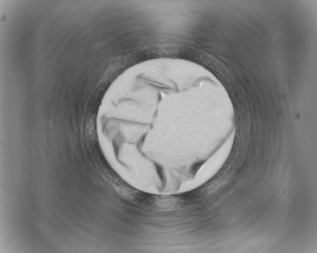 X0000073890336200609082129