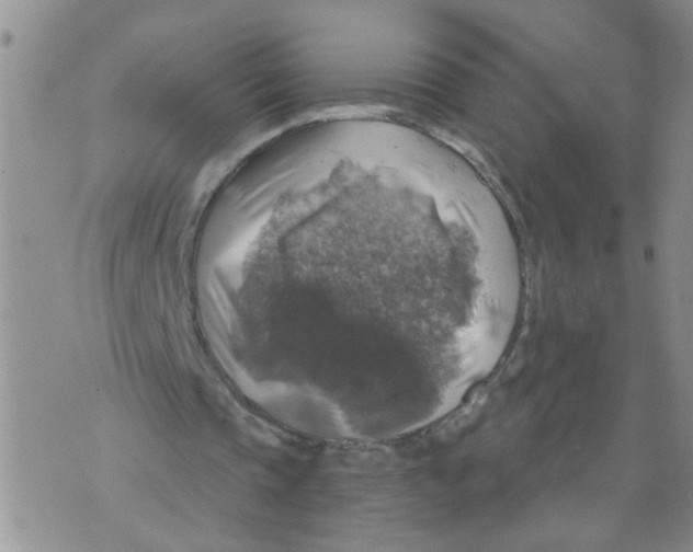 X0000073890337200609082128