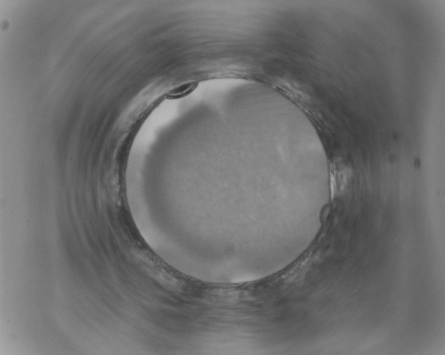 X0000073890339200609082128