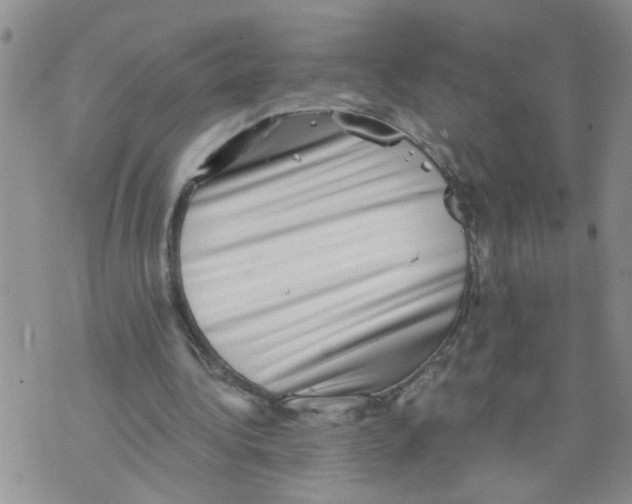 X0000073890340200609082128