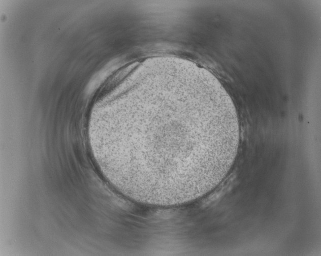 X0000073890341200609082128