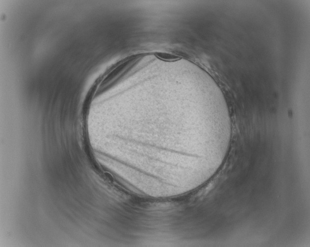 X0000073890342200609082128