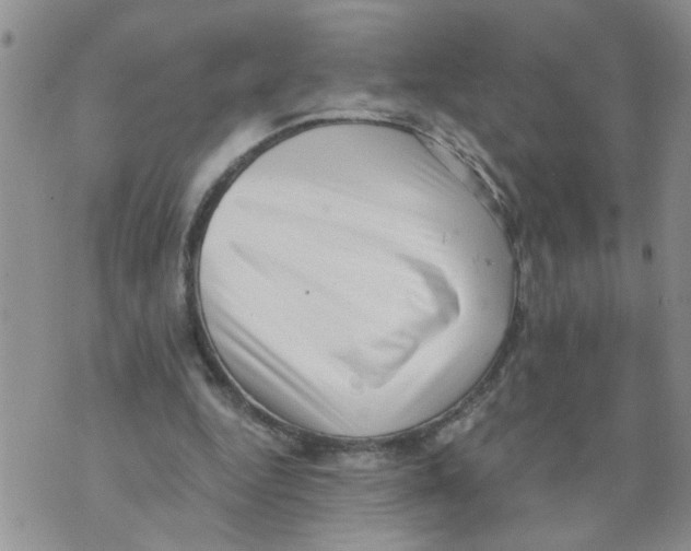 X0000073890344200609082128