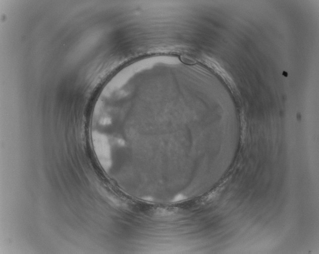 X0000073890346200609082128