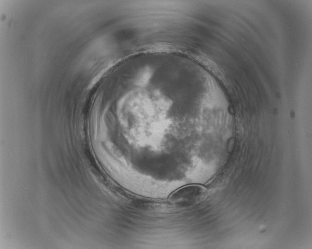 X0000073890347200609082128