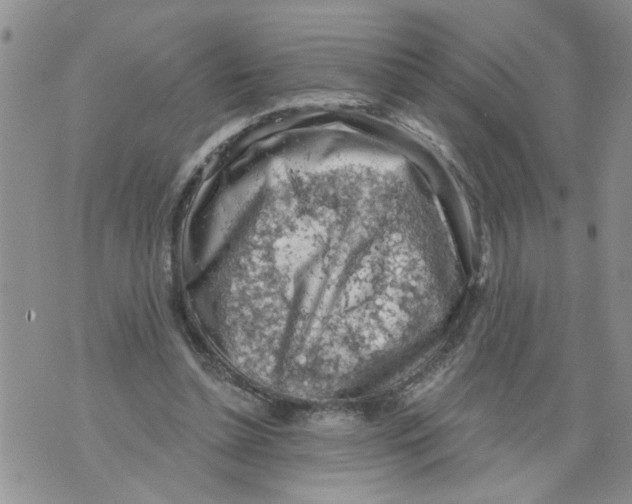 X0000073890348200609082128