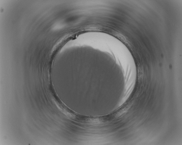 X0000073890349200609082128