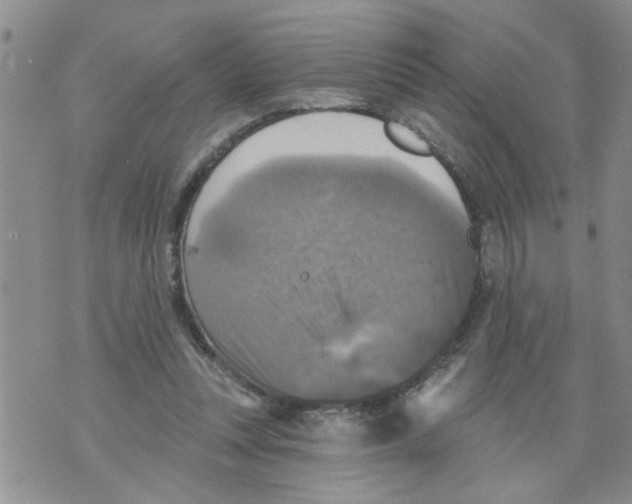 X0000073890351200609082128