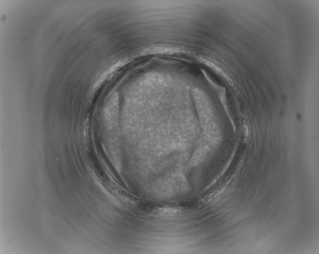 X0000073890352200609082128