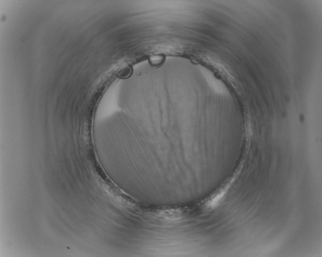 X0000073890353200609082128