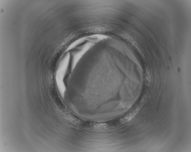 X0000073890355200609082128