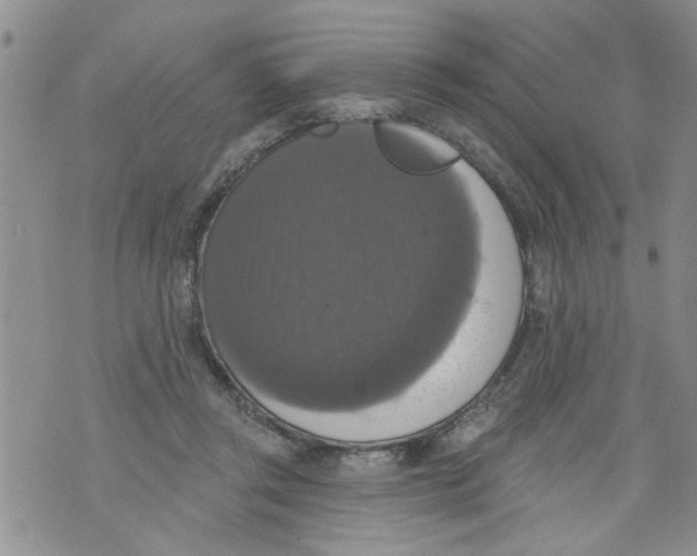 X0000073890357200609082128