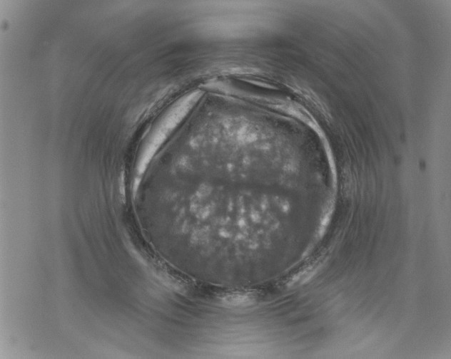 X0000073890358200609082128