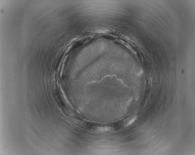 X0000073890360200609082129